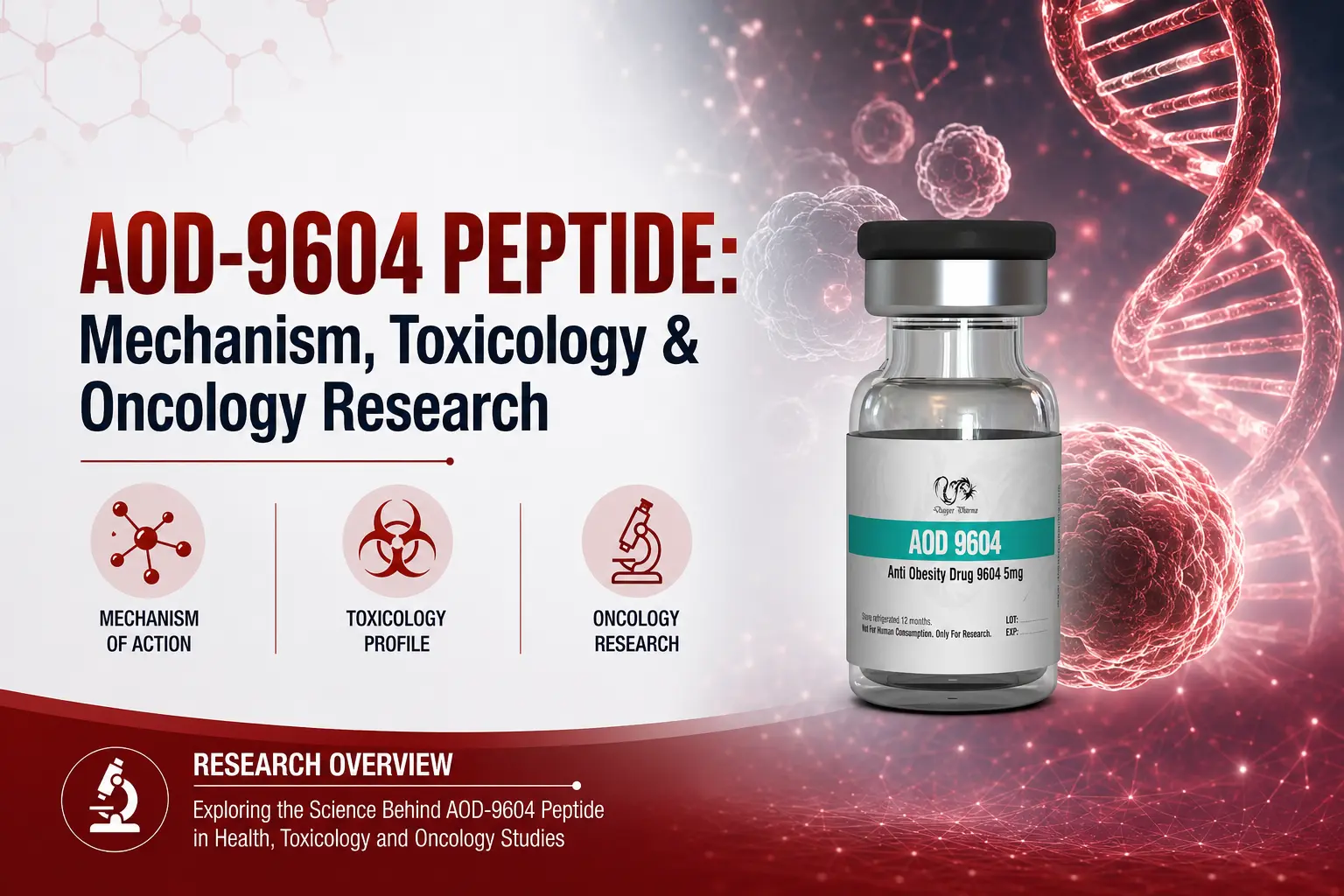 AOD-9604 Peptide: Mechanism, Toxicology & Oncology Research