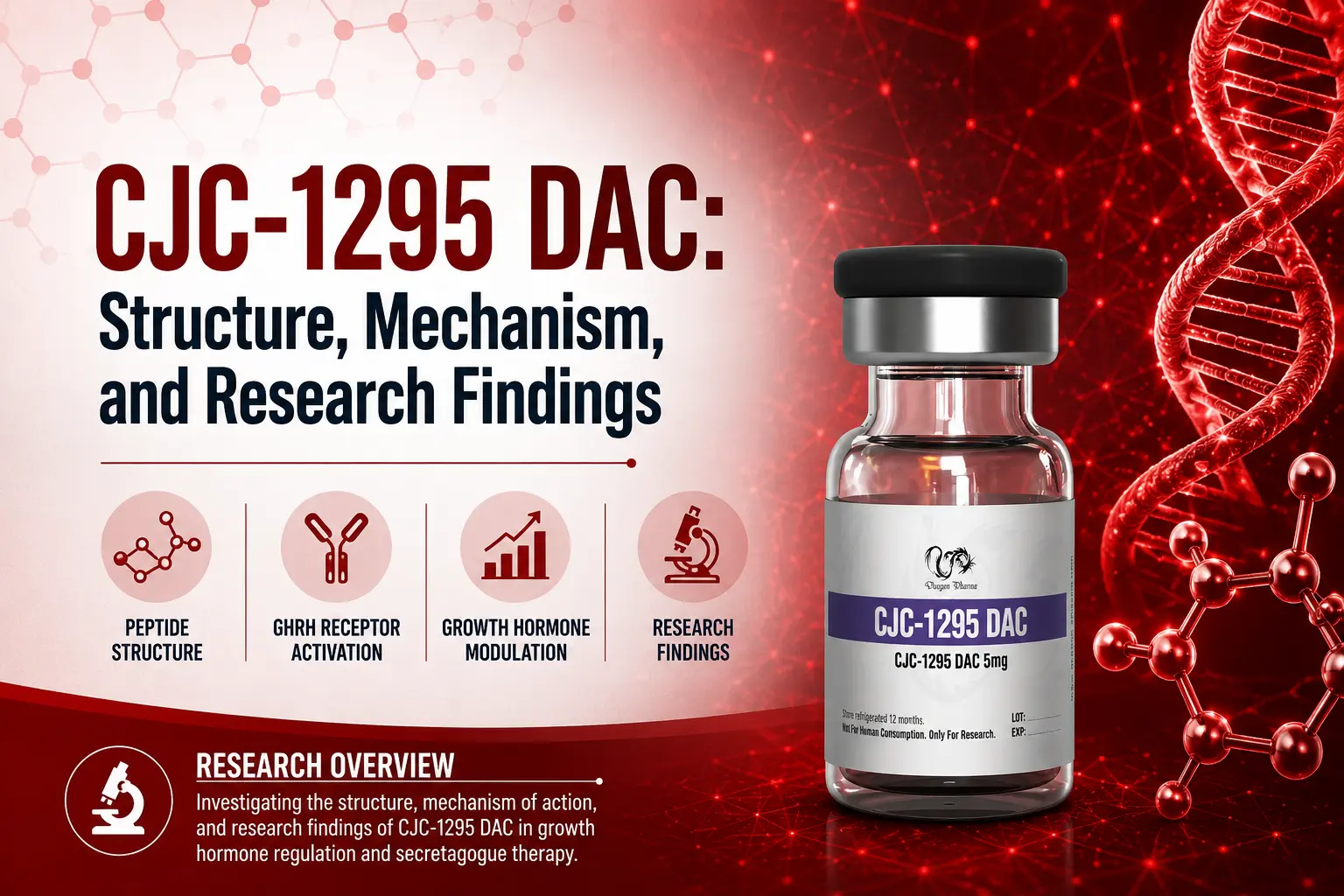 CJC-1295 DAC: Structure, Mechanism, and Research Findings
