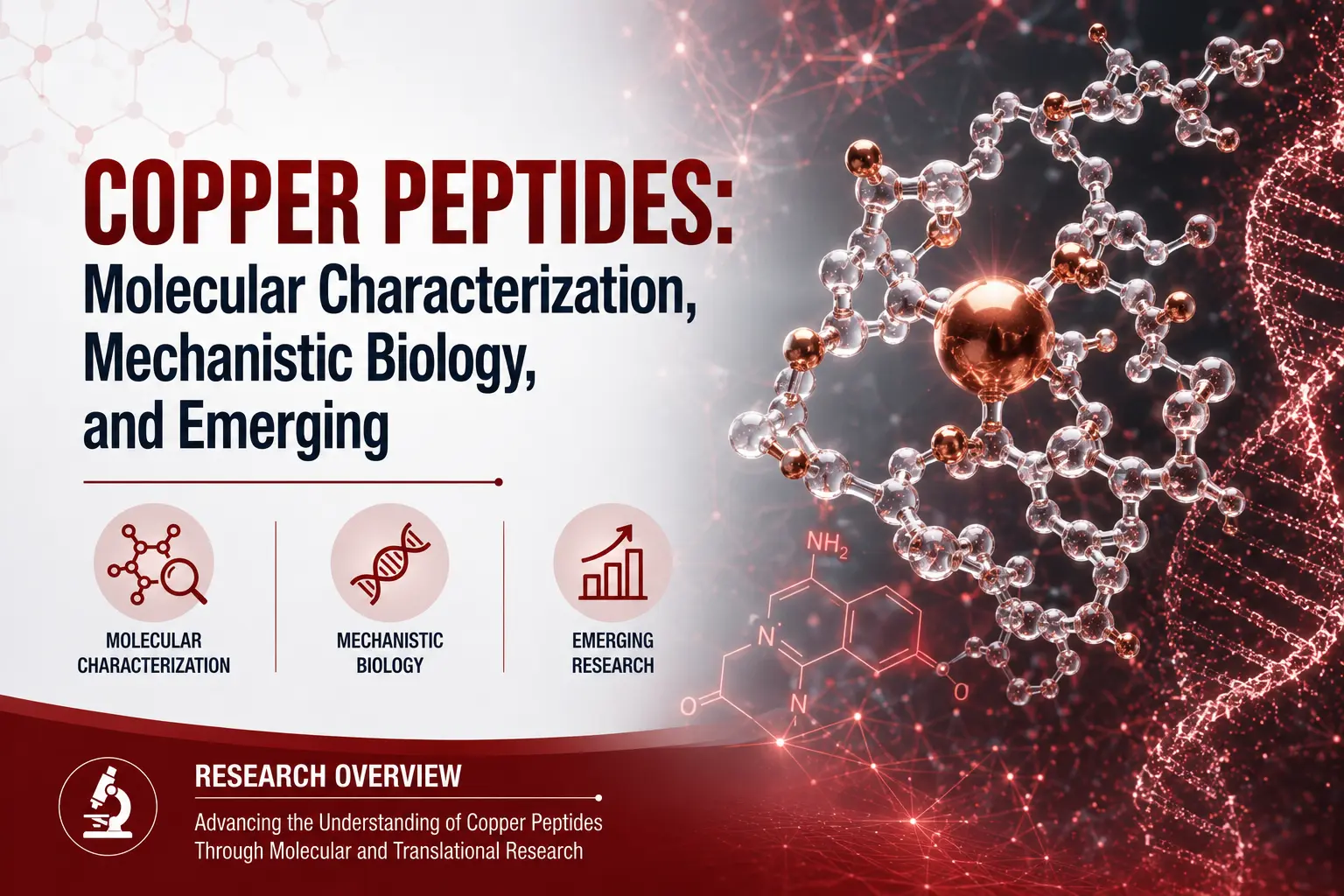 Copper Peptides: Molecular Characterization, Mechanistic Biology, and Emerging