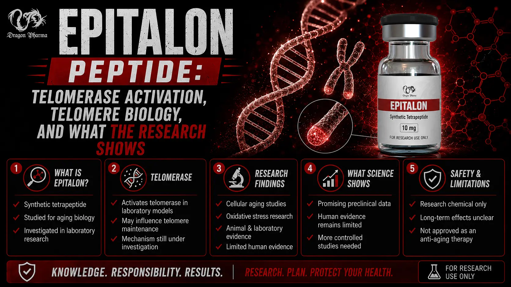 Epitalon Peptide: Telomerase Activation, Telomere Biology, and What the Research Shows