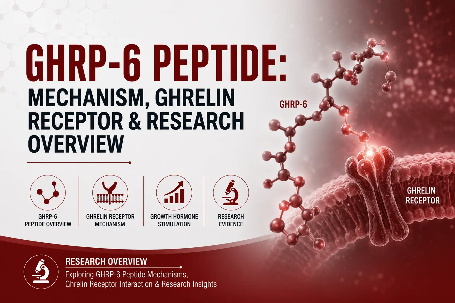 GHRP-6 Peptide: Mechanism, Ghrelin Receptor & Research Overview