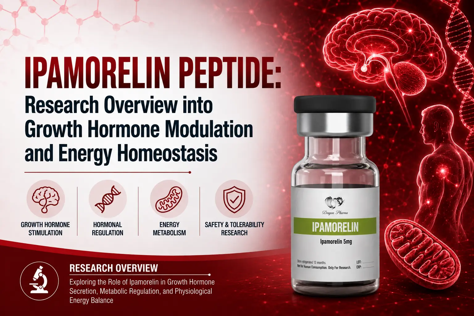 Ipamorelin Peptide: Research Overview into Growth Hormone Modulation and Energy Homeostasis