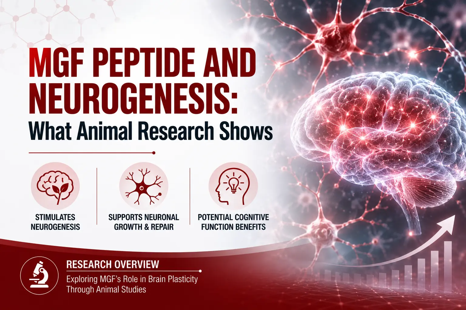 MGF Peptide and Neurogenesis: What Animal Research Shows