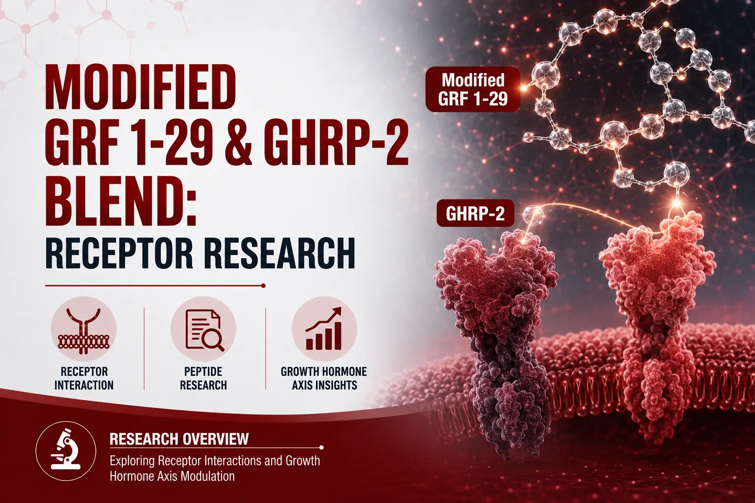 Modified GRF 1-29 & GHRP-2 Blend: Receptor Research