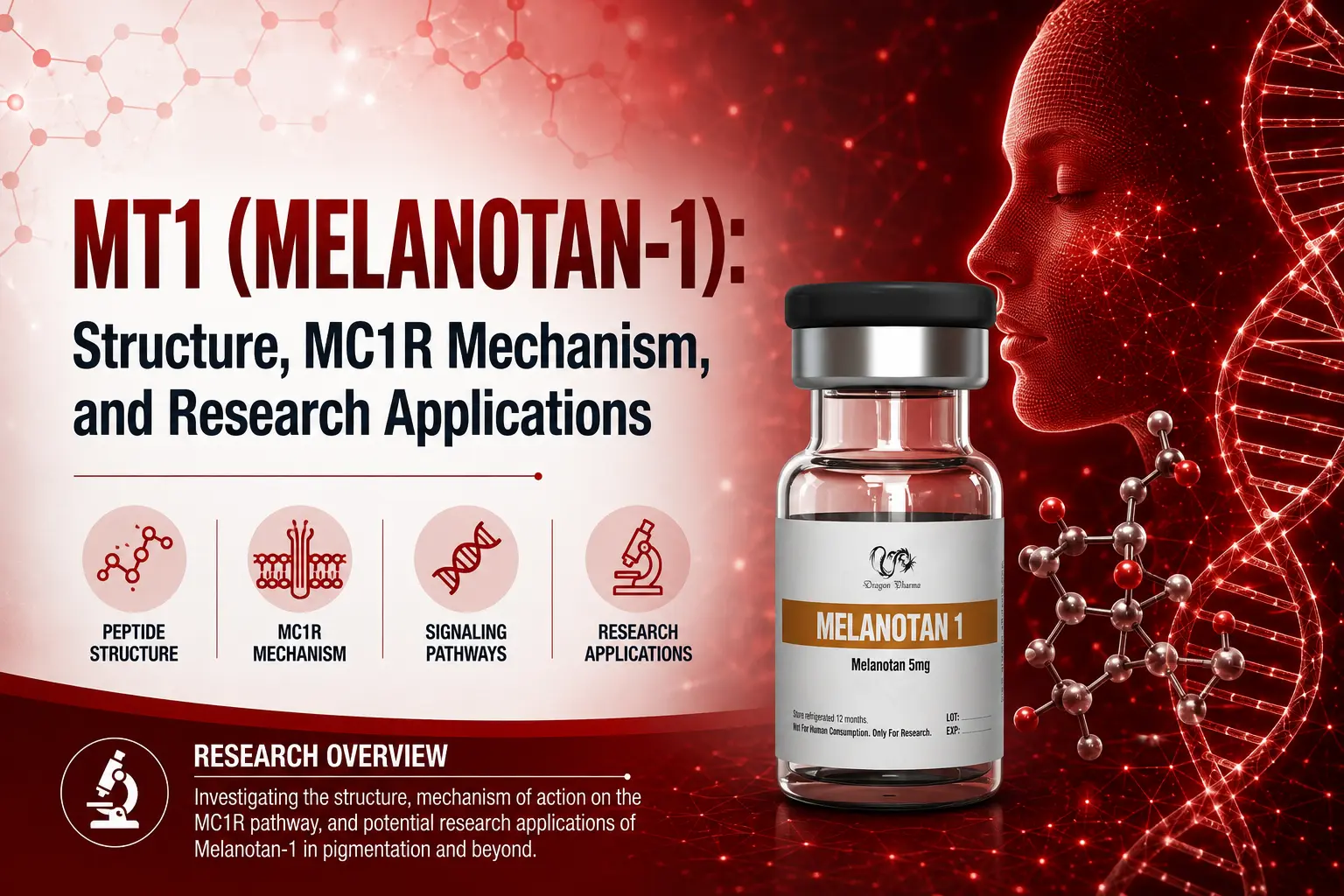 MT1 (Melanotan-1): Structure, MC1R Mechanism, and Research Applications