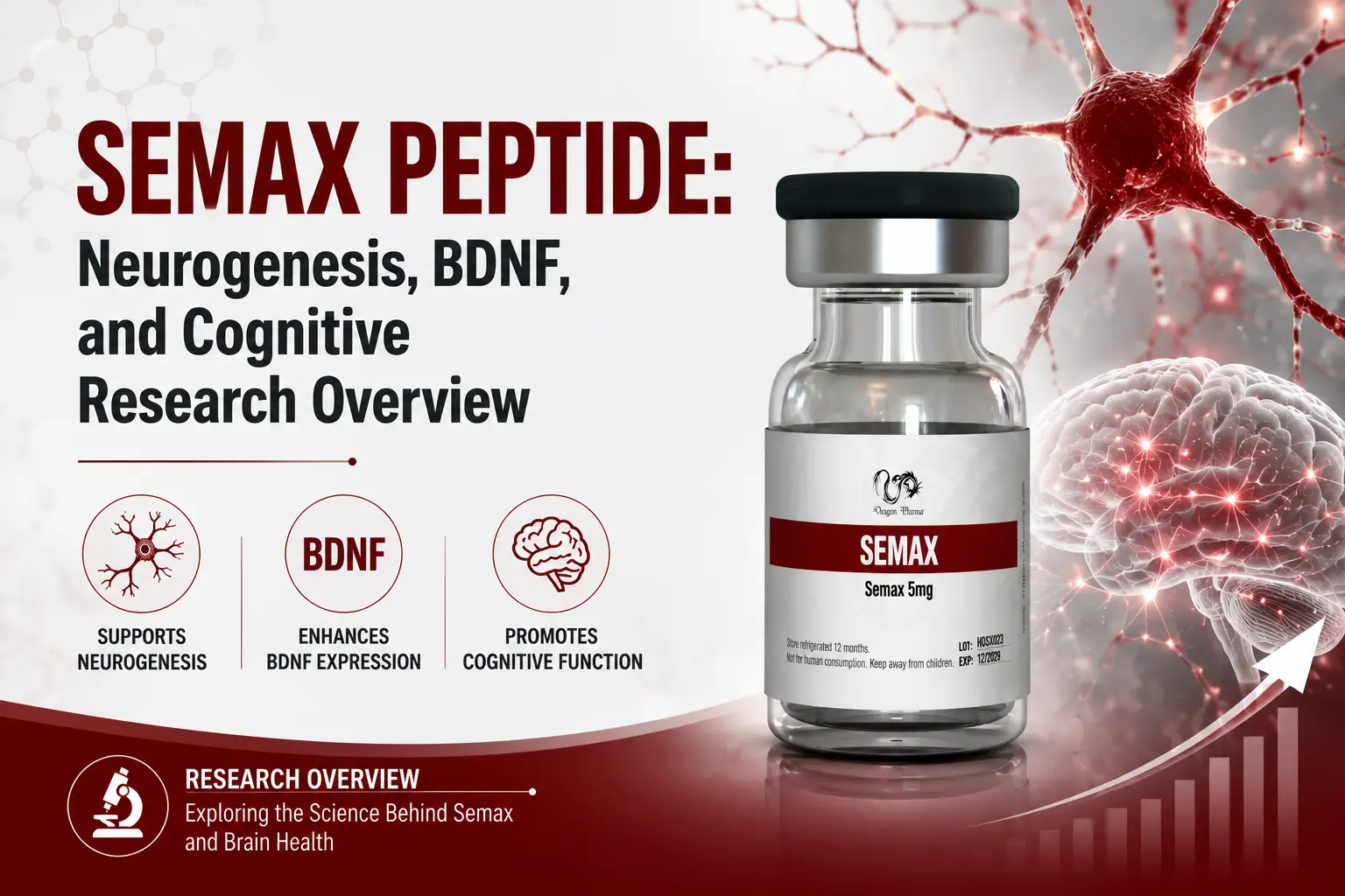 Semax Peptide: Neurogenesis, BDNF, and Cognitive Research Overview