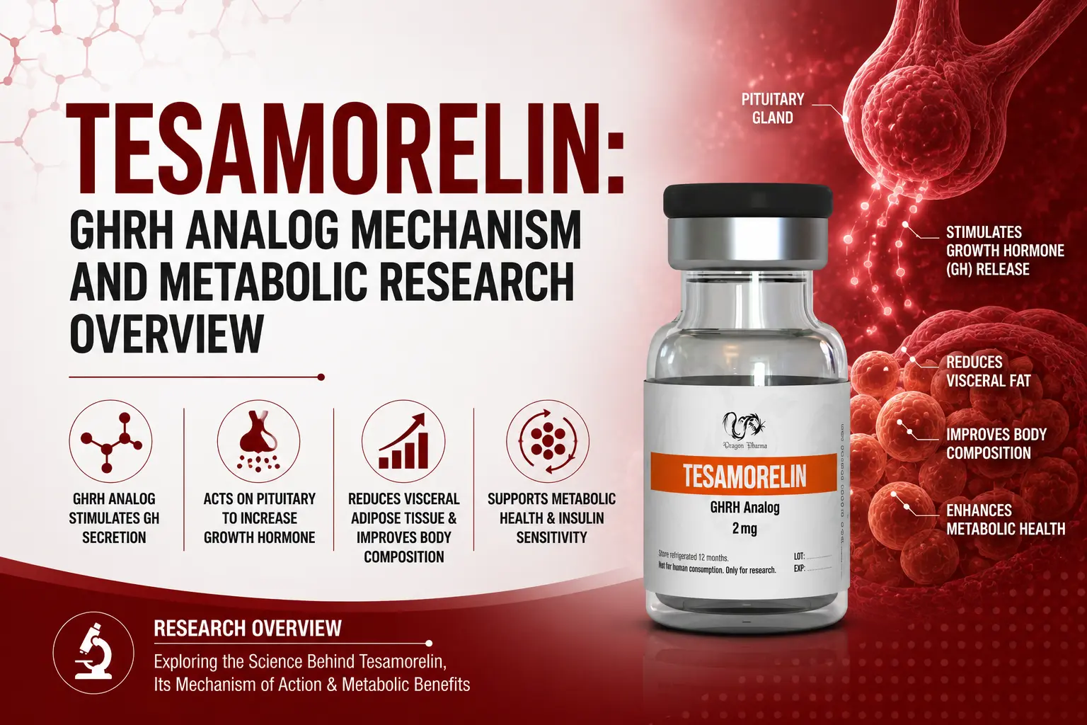 Tesamorelin GHRH Analog: Mechanism and Metabolic Research